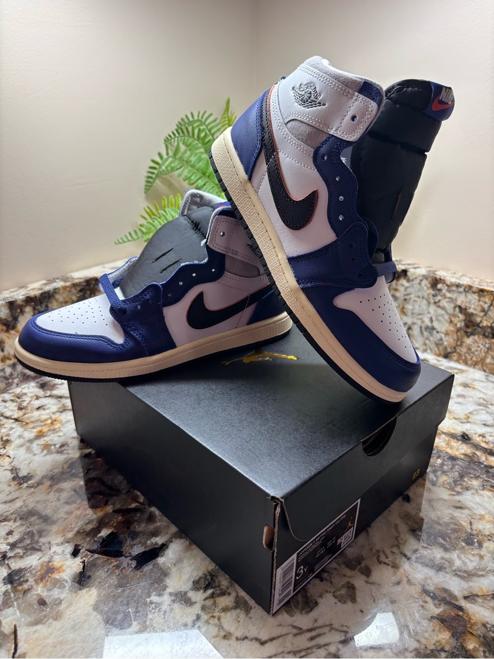 Jordan 1 High - White/Navy/Black